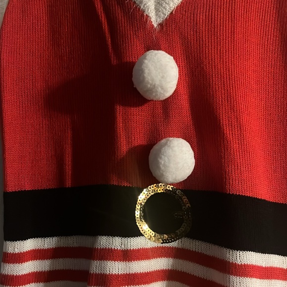 Mrs. Claus Dress. Worn once. Size L. - Picture 4 of 5
